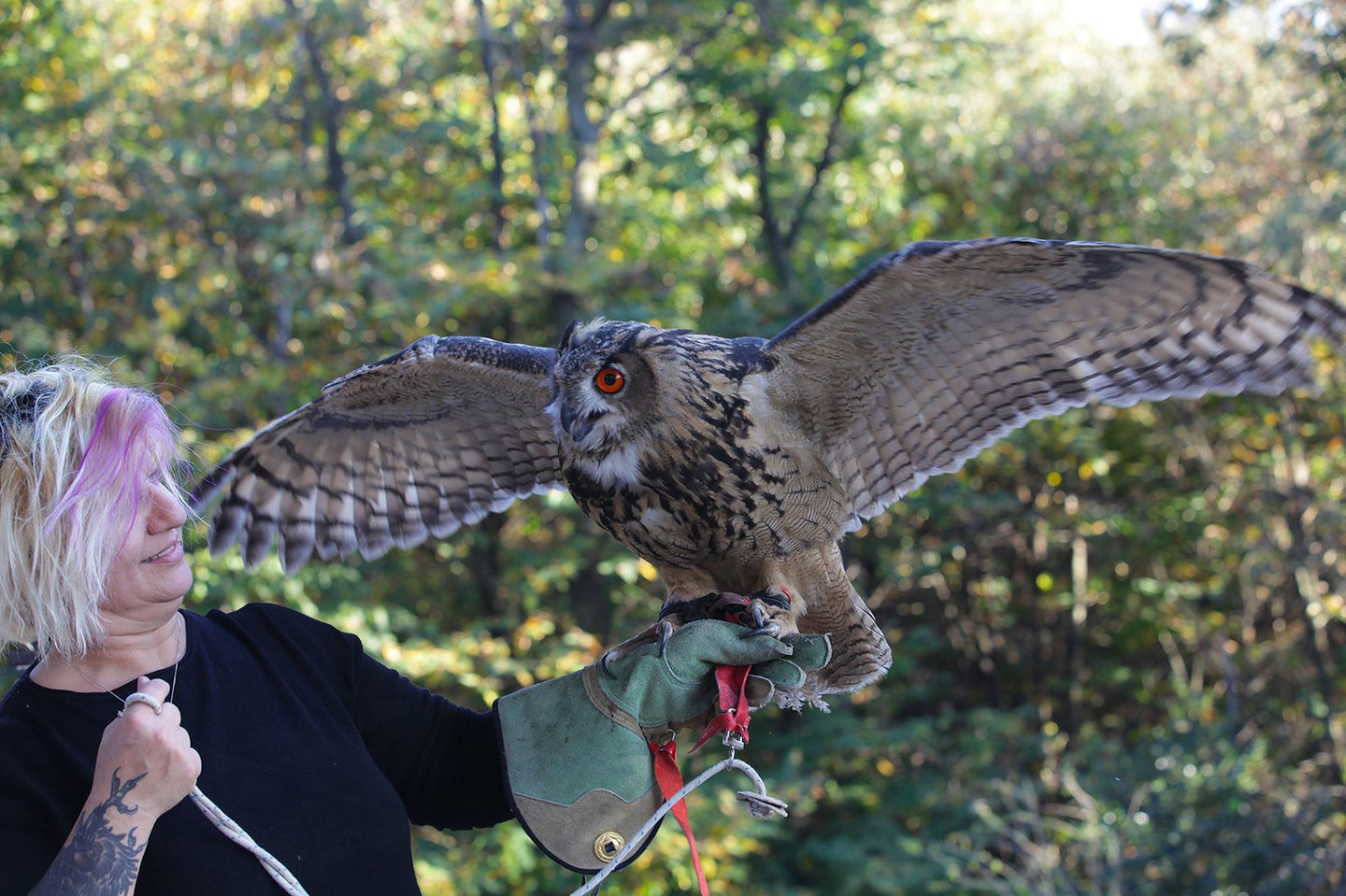 Maura Luoni, foto di Mario Stefanoni.jpg
