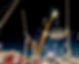 92536_Liner Lift_edited.jpg