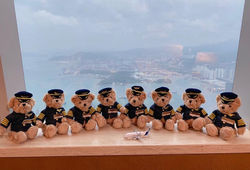 jaa rc pilot bears