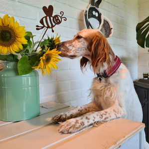 Stillingsannonsen du aldri finner på Finn.no