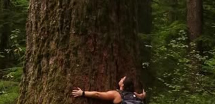 A girl hugging a tall tree in a forest filled with green trees.