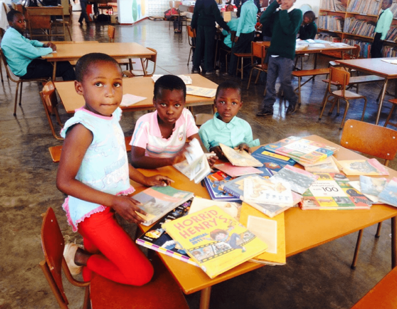 Edward Ndlovu Community Libraries logo