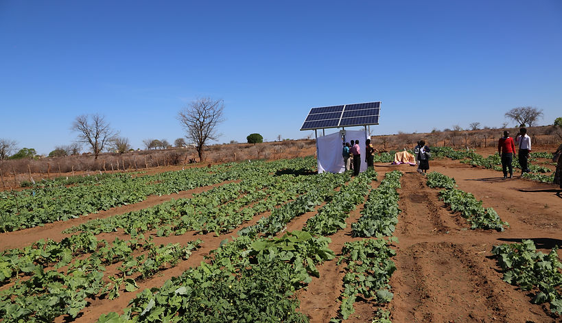 sola-powered irrigation scheme