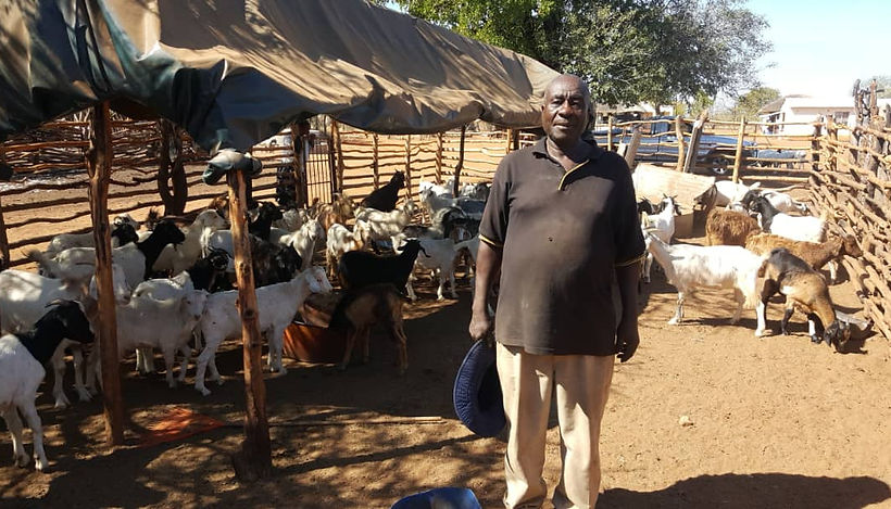 Goat Project manager