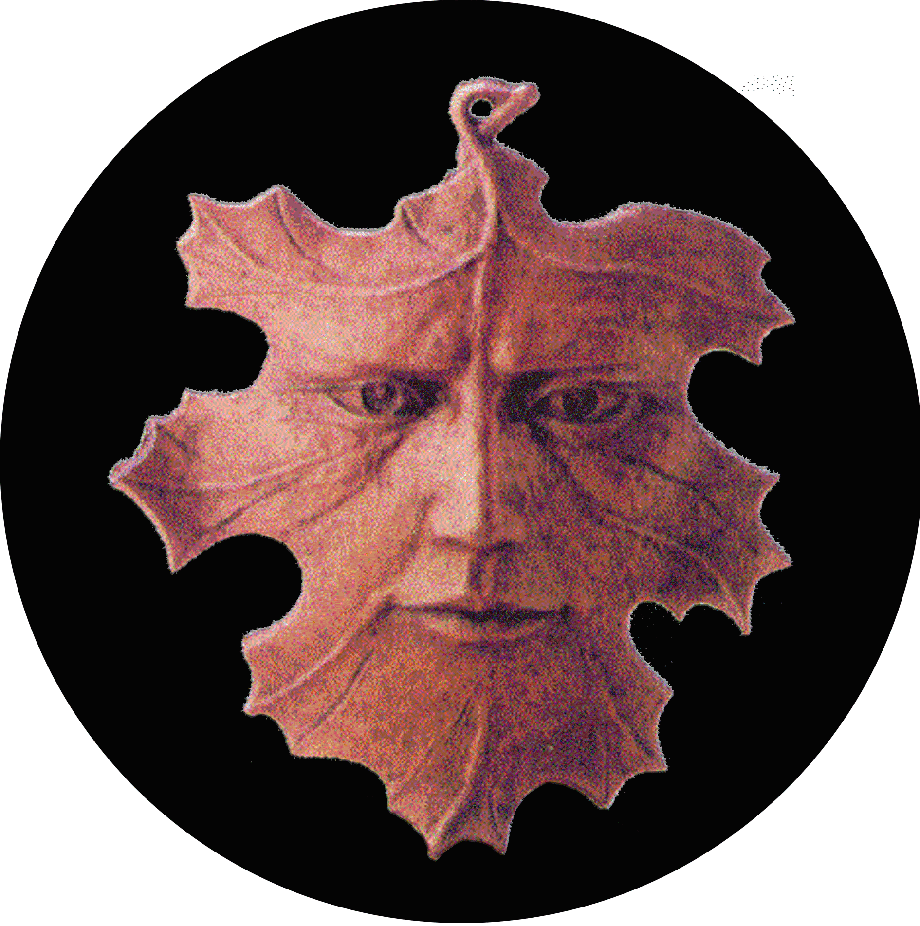 Forest Spirit Archers, Archery Fife, Edinburgh, Lothian, Scotland