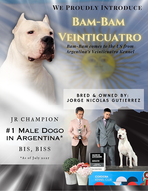 Green Paw Dog Walker Flyer.png.png