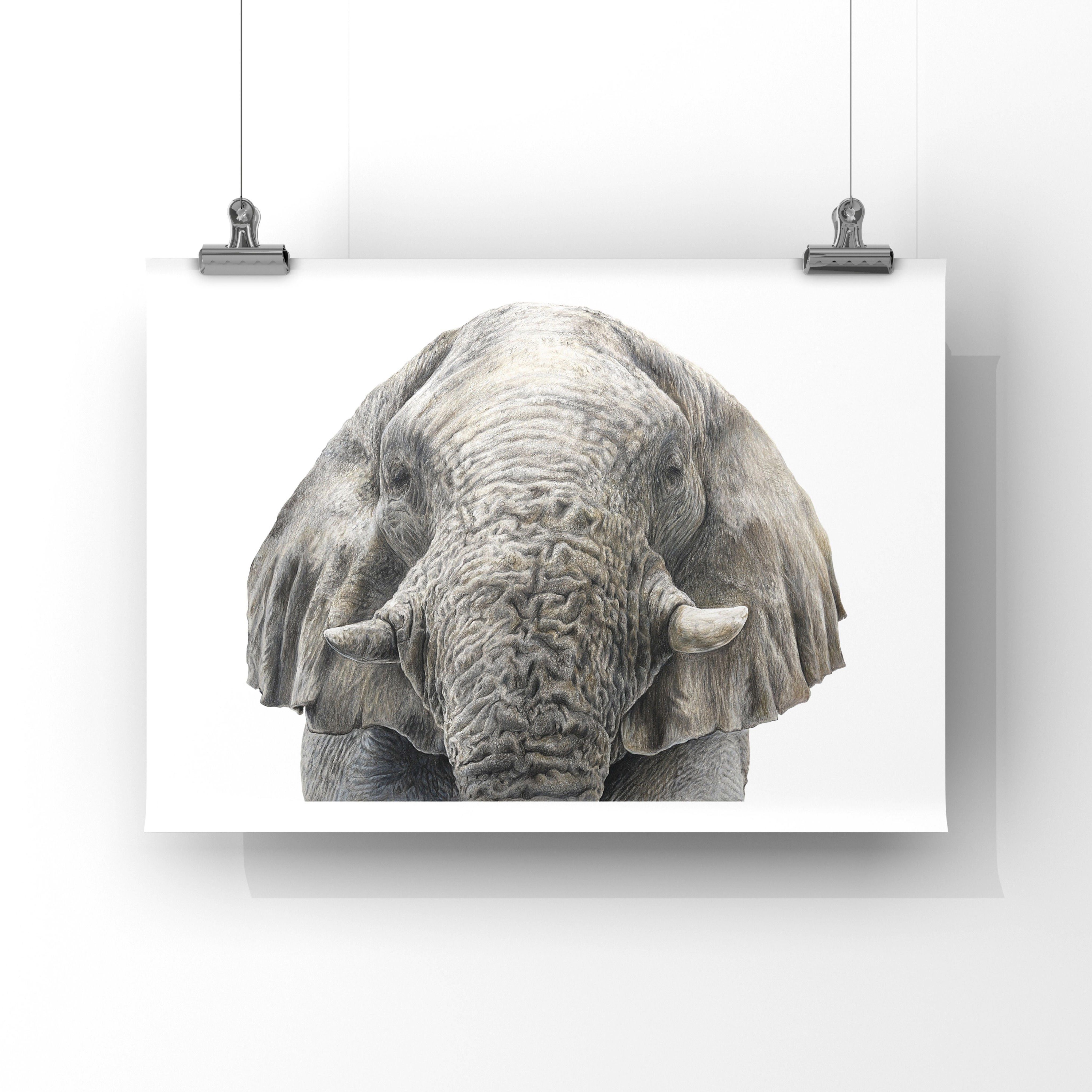 The Elephant in the Room limited edition print