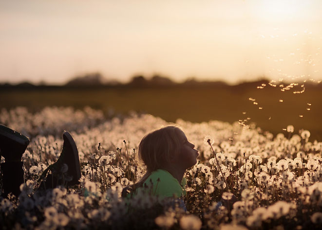 breathe4johannes-plenio-282234-unsplash.