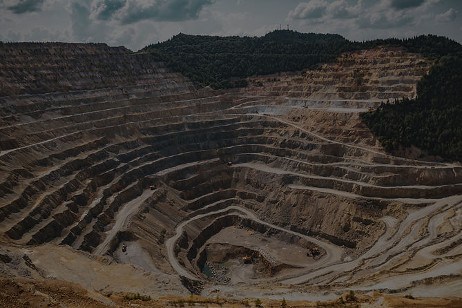pexels-vlad-chețan-2892618 (1)_edited.jpg