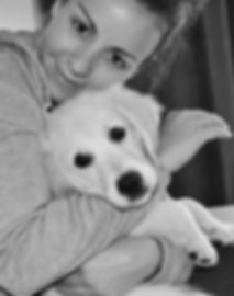 Golden Retriever Welpen Zucht 1