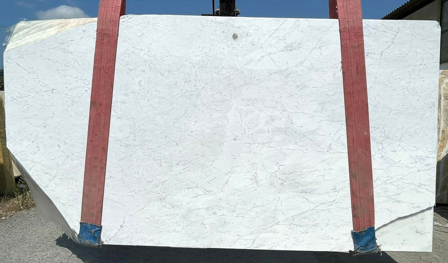 STATUARIETTO - CAL51