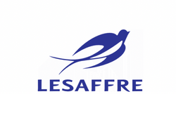 LESAFFRE INTERNATIONAL