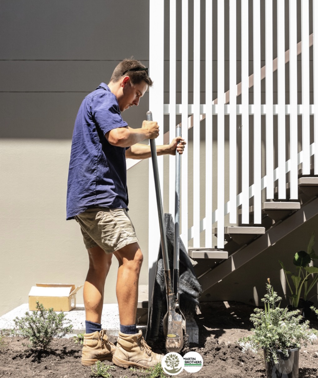 Writer: Michael Ludlow