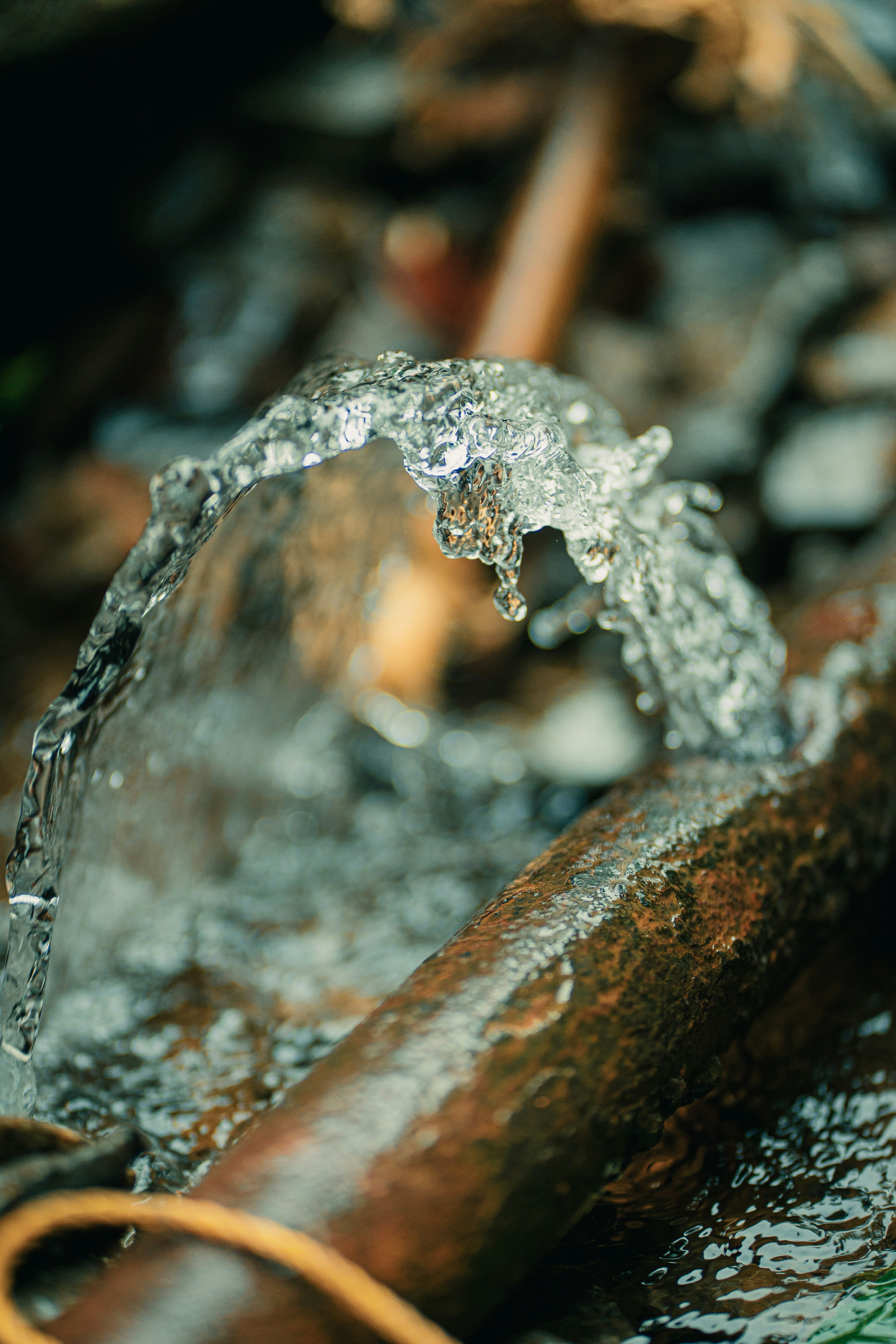 The Silent Leak: 7 Signs Your Gold Coast Home Has a Hidden Water Problem
