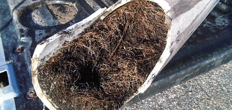 Why Does My Drain Keep Blocking? The Real Reasons Gold Coast Homes Struggle With Slow Drains