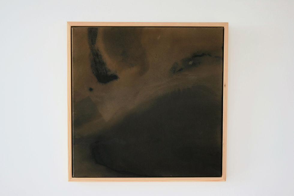 Fleeting Light | 20X20