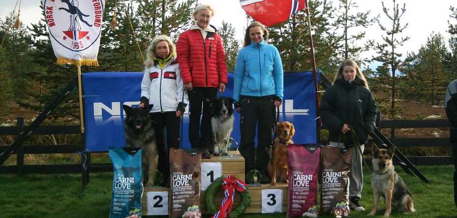 The Challeng 2013.jpg