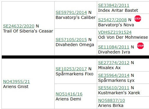 stamtavle J-kullet Gnist.jpg