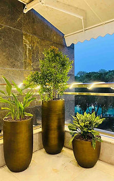 Balcony garden by Garden of Joy in DLF Camellias.jpeg