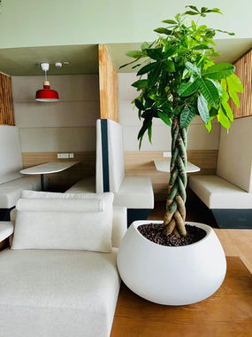 FRP fiberglass planters