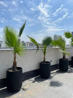 FRP fiberglass planters
