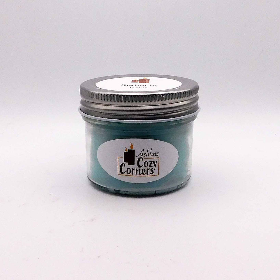 Miniatura: Spring in Paris