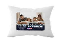 OASIS-removebg-preview (1).png