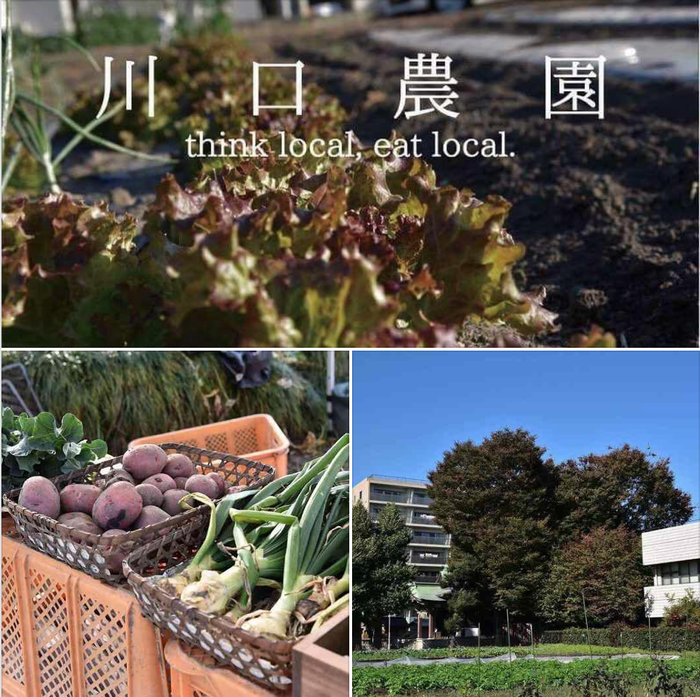 川口農園