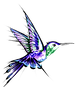 humming bird vector 1.png
