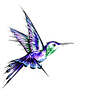 humming bird vector 1.png