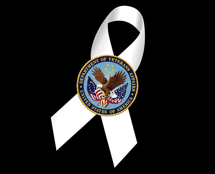 Pledge Ribbon White Ribbon VA Pledge