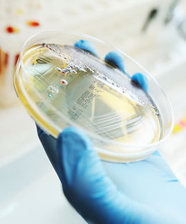 shutterstock_784635523 (1).jpg