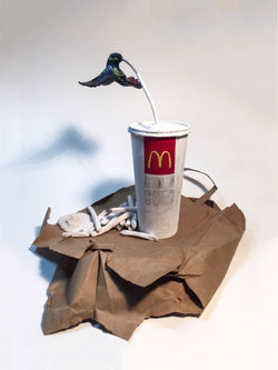 Naturaleza Confundida (Detalle).