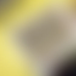 What was Palmers Cross like in 1966?