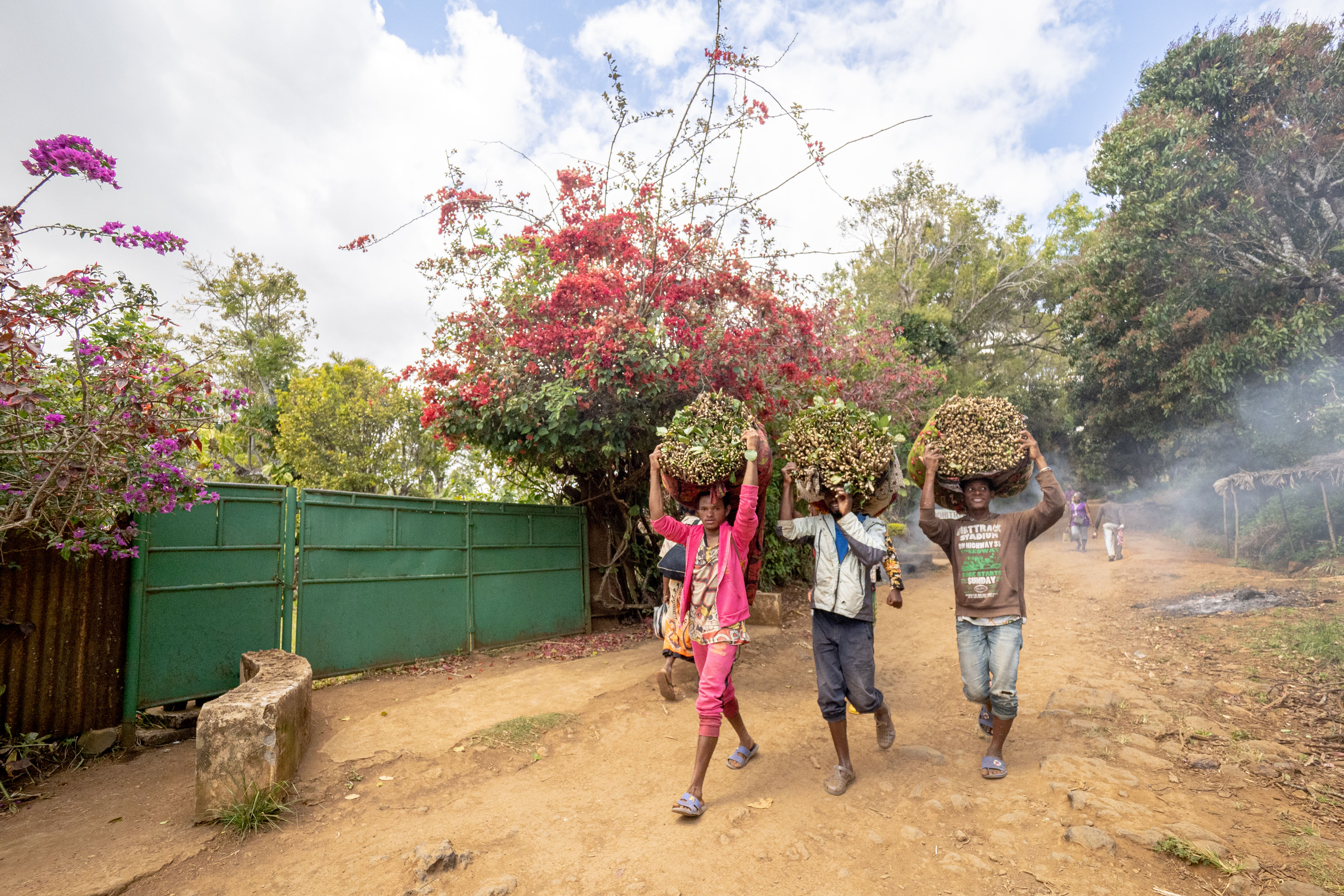 Heure de la cueillette