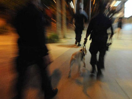 One Punch Can Kill campaigners give up on young adults