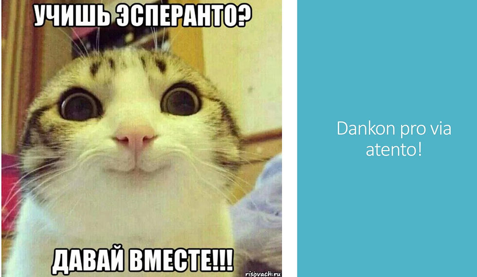 Презентация Петра Федосова о языке эсперанто на Московском фестивале языков 2020