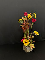 IMG_4678.jpeg