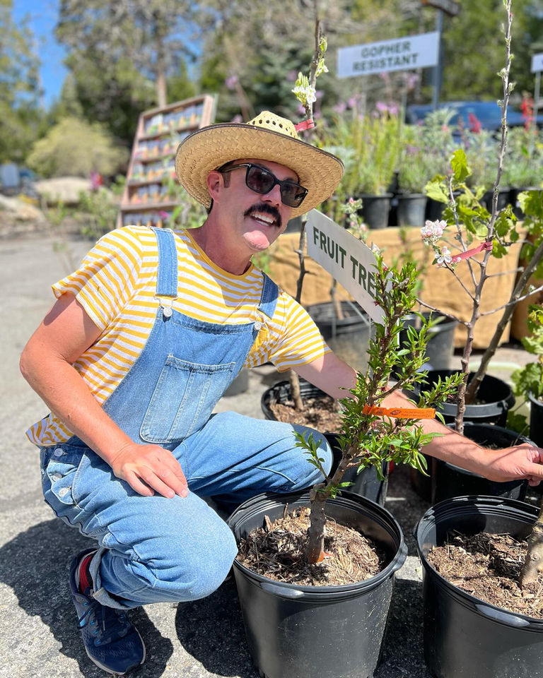 A Farmer attends to his plants at the Twin Peaks Farmers Market