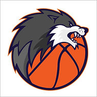 Wolves Basketball