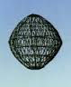 Ball Day Signal.jpg