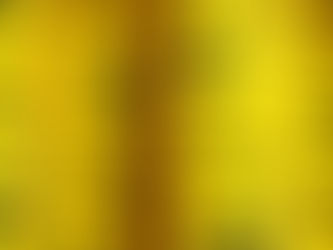 NUCLEARE. “APPREZZO LAVORO GOVERNO, MA PROVINCIA DI VITERBO NON IDONEA”