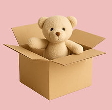 db9341c8-3317-4e4e-a2af-54f03fa04a7e_edi