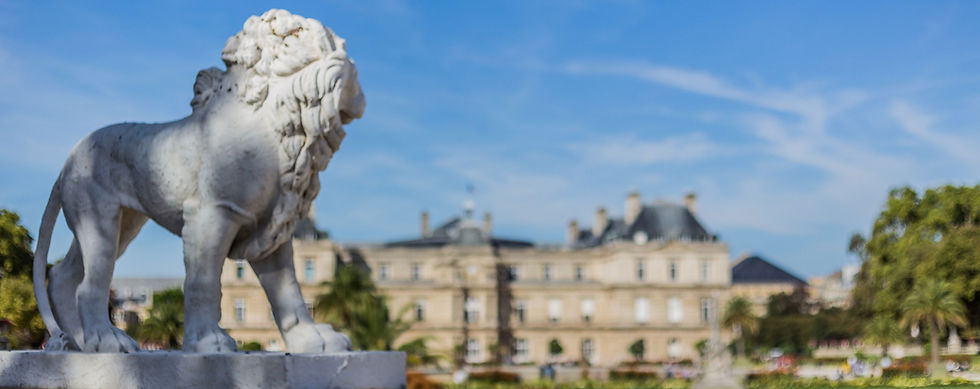rat-libere-lion