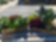 harvest idea 1.jpeg