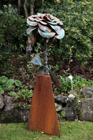 A Rose without Thorns by Trish Clarke.JPG