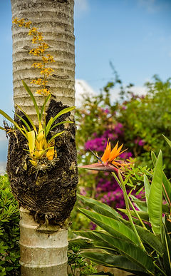 ti-case-soleil-montvert_17.jpg