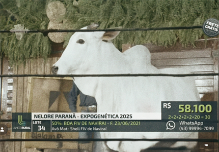 FOTO 015.png