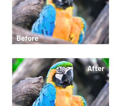 Key Benefits of AI Image Enhancement for Photographers