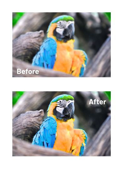 The image above shows the "before" and "after" of image enhancement.